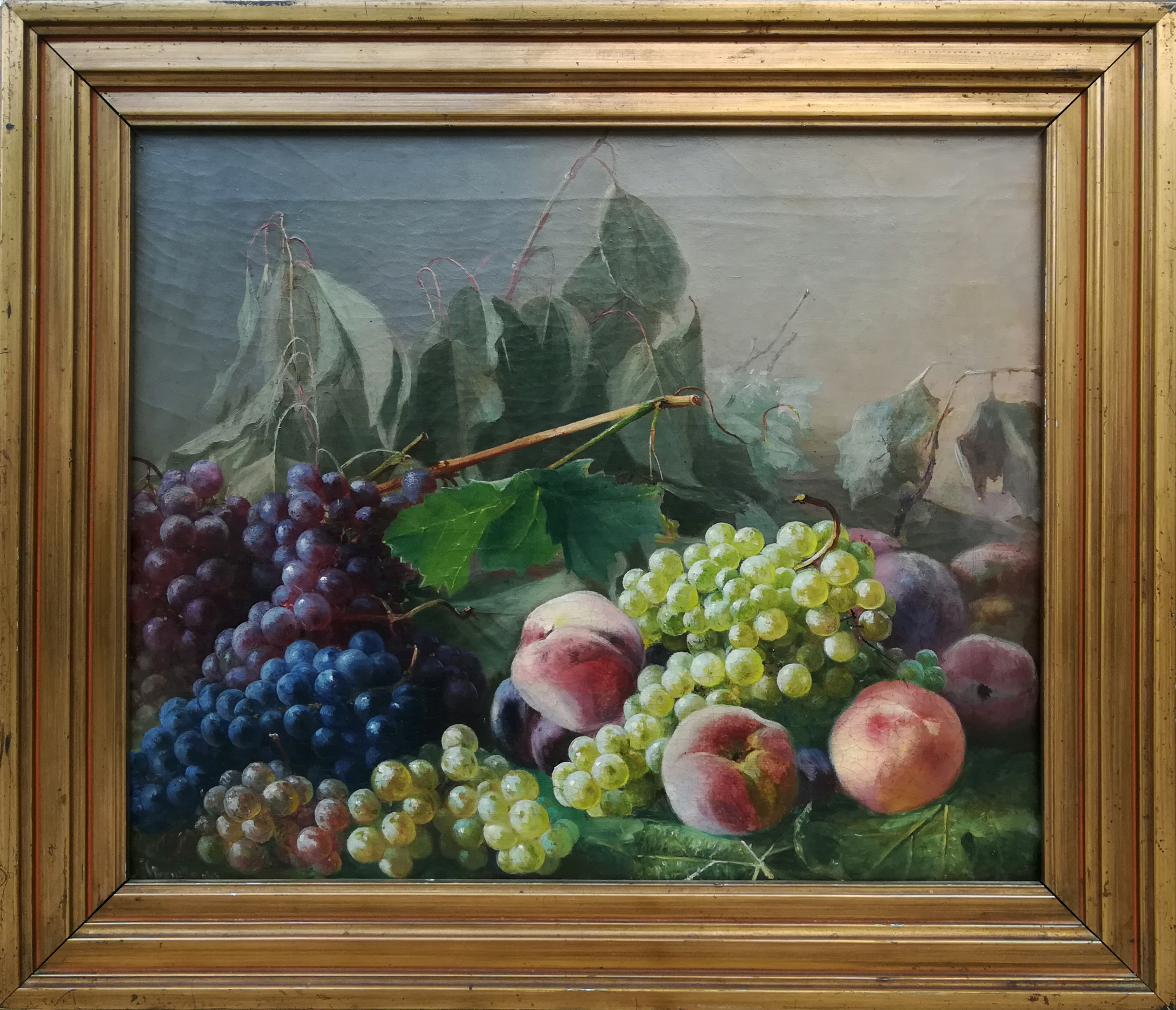 Straschiripka Johann von (Canon Hans)