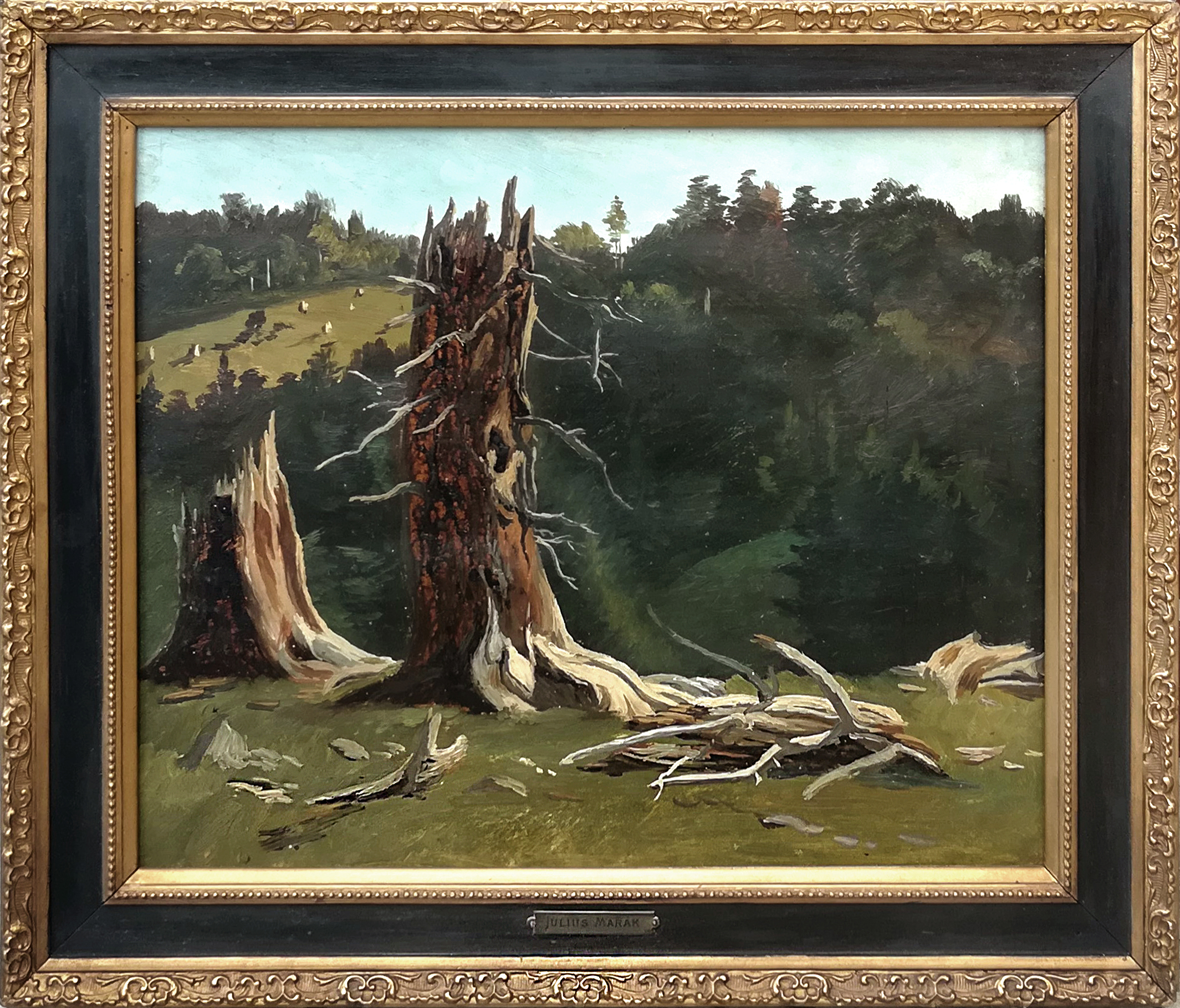 Julius Mařák - Z Krkonoš
